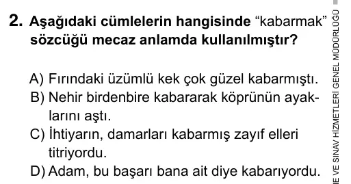 6. Sınıf Türkçe 2017 İOKBS Bursluluk Sınavı 2. Soru görseli