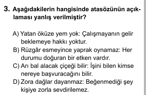 6. Sınıf Türkçe 2017 İOKBS Bursluluk Sınavı 3. Soru görseli