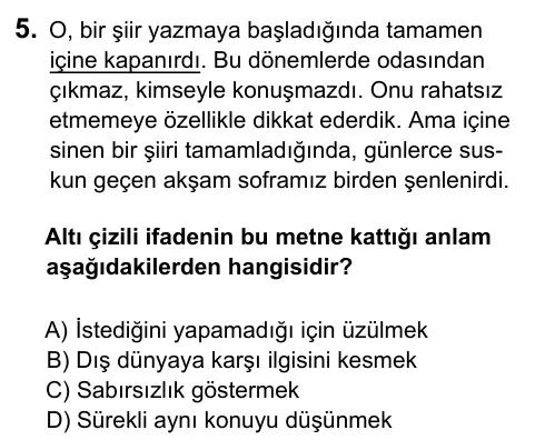6. Sınıf Türkçe 2017 İOKBS Bursluluk Sınavı 5. Soru görseli