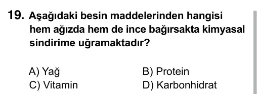 7. Sınıf Fen Bilimleri 2017 İOKBS Bursluluk Sınavı 19. Soru görseli