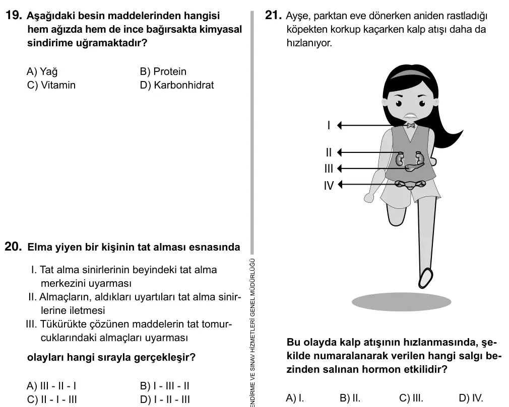 7. Sınıf Fen Bilimleri 2017 İOKBS Bursluluk Sınavı 21. Soru görseli