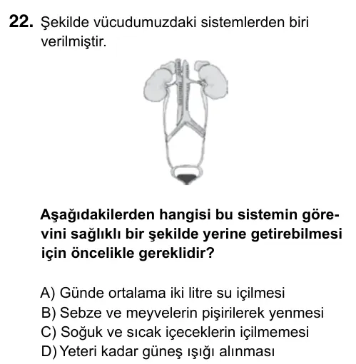 7. Sınıf Fen Bilimleri 2017 İOKBS Bursluluk Sınavı 22. Soru görseli