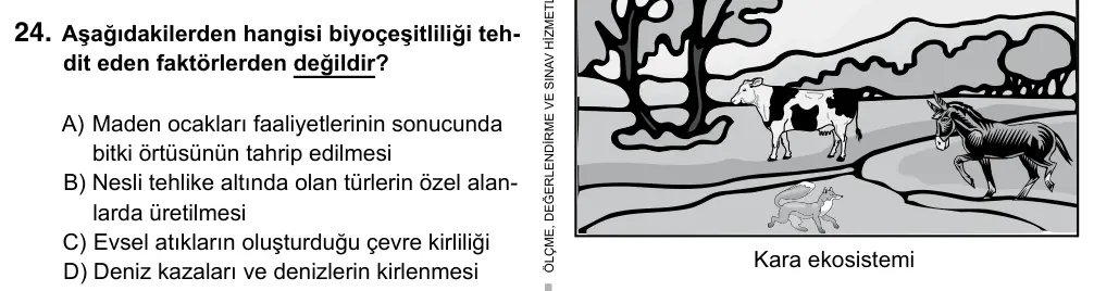 7. Sınıf Fen Bilimleri 2017 İOKBS Bursluluk Sınavı 24. Soru görseli