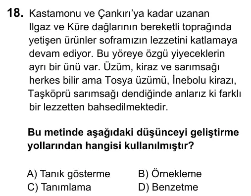 7. Sınıf Türkçe 2017 İOKBS Bursluluk Sınavı 18. Soru görseli