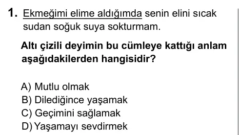 7. Sınıf Türkçe 2017 İOKBS Bursluluk Sınavı 1. Soru görseli