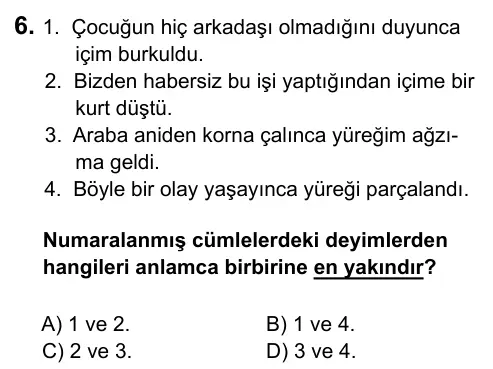 7. Sınıf Türkçe 2017 İOKBS Bursluluk Sınavı 6. Soru görseli
