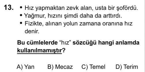 9, 10, 11. Sınıf Türk Dili ve Edebiyatı 2017 İOKBS Bursluluk Sınavı 13. Soru görseli