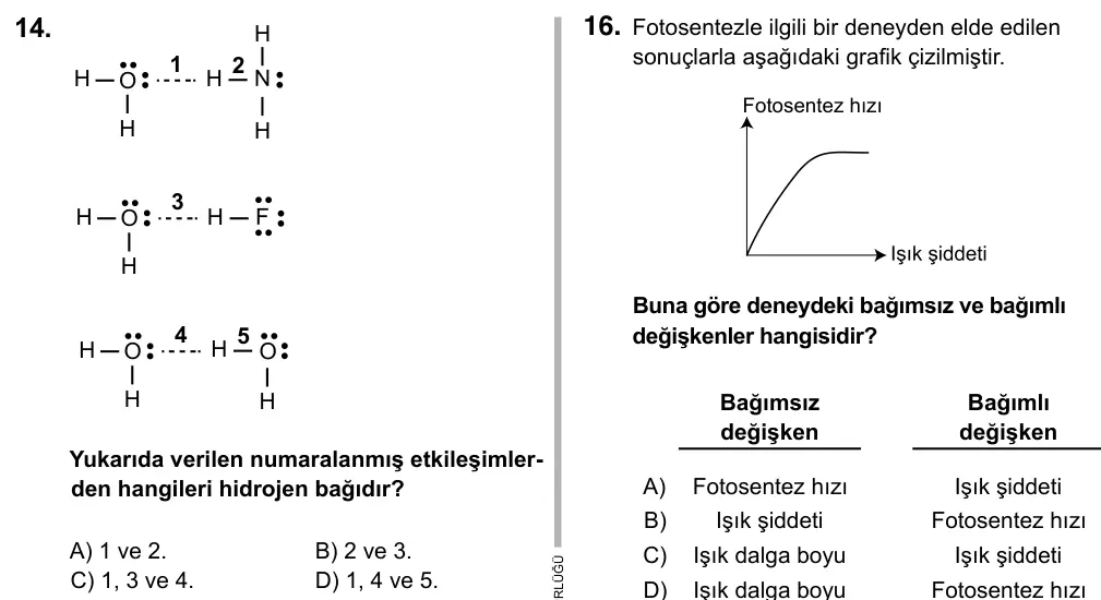 9, 10, 11. Sınıf Fen Bilimleri 2017 İOKBS Bursluluk Sınavı 14. Soru görseli