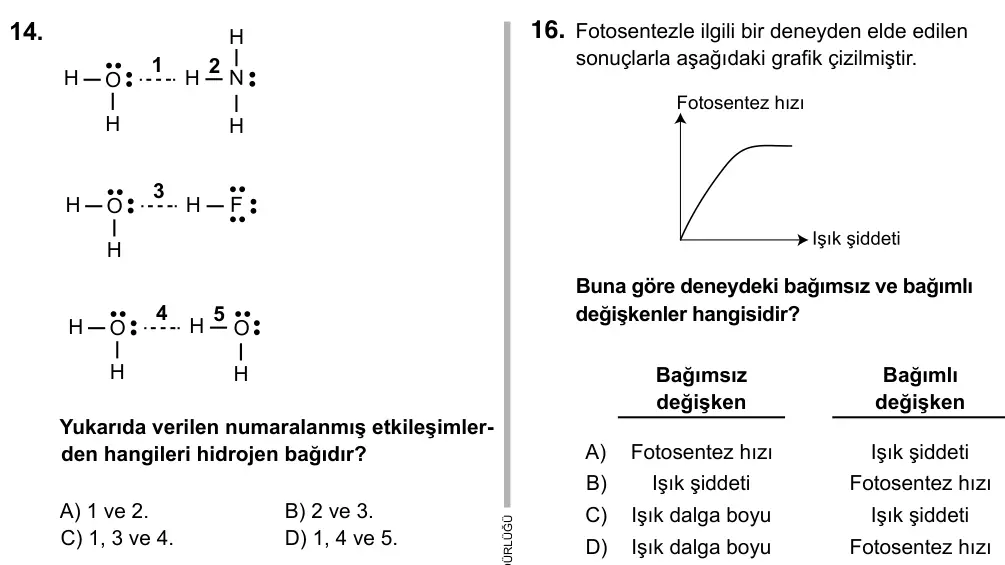 9, 10, 11. Sınıf Fen Bilimleri 2017 İOKBS Bursluluk Sınavı 16. Soru görseli