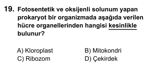 9, 10, 11. Sınıf Fen Bilimleri 2017 İOKBS Bursluluk Sınavı 19. Soru görseli