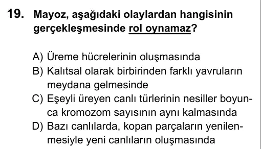 Hazırlık Sınıfı Fen Bilimleri 2017 İOKBS Bursluluk Sınavı 19. Soru görseli