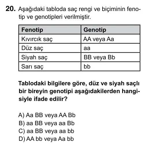 Hazırlık Sınıfı Fen Bilimleri 2017 İOKBS Bursluluk Sınavı 20. Soru görseli