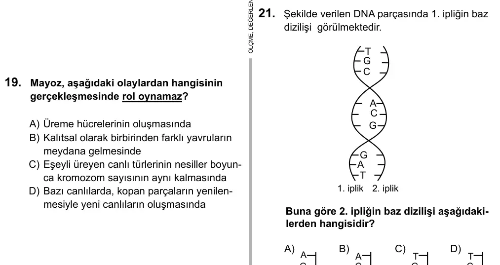 Hazırlık Sınıfı Fen Bilimleri 2017 İOKBS Bursluluk Sınavı 21. Soru görseli
