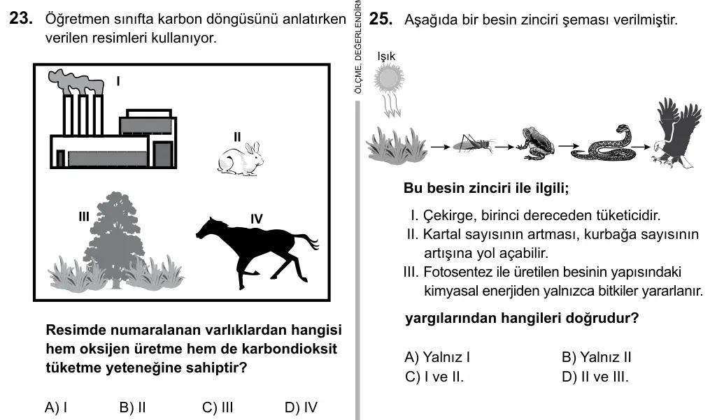 Hazırlık Sınıfı Fen Bilimleri 2017 İOKBS Bursluluk Sınavı 23. Soru görseli