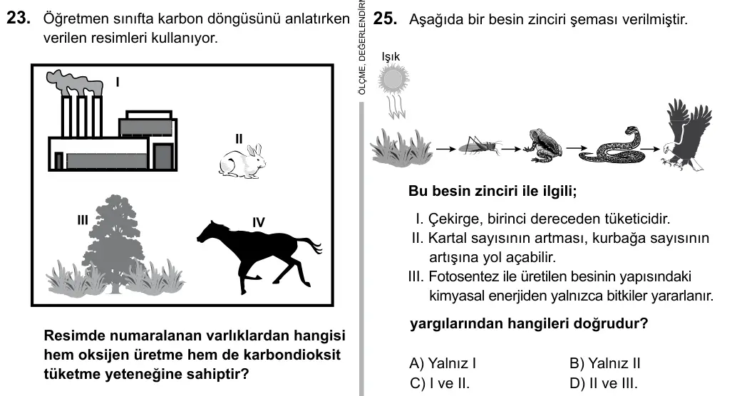 Hazırlık Sınıfı Fen Bilimleri 2017 İOKBS Bursluluk Sınavı 25. Soru görseli