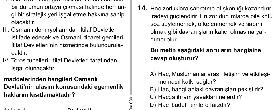 Hazırlık Sınıfı Sosyal Bilgiler 2017 İOKBS Bursluluk Sınavı 14. Soru görseli