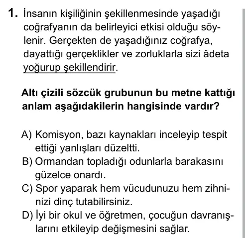 Hazırlık Sınıfı Türkçe 2017 İOKBS Bursluluk Sınavı 1. Soru görseli