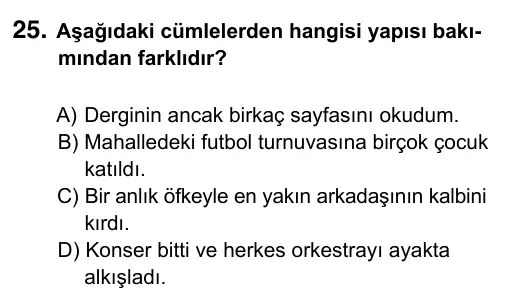 Hazırlık Sınıfı Türkçe 2017 İOKBS Bursluluk Sınavı 25. Soru görseli