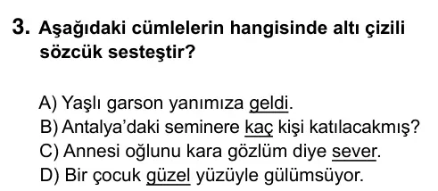 Hazırlık Sınıfı Türkçe 2017 İOKBS Bursluluk Sınavı 3. Soru görseli