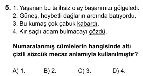 Hazırlık Sınıfı Türkçe 2017 İOKBS Bursluluk Sınavı 5. Soru görseli