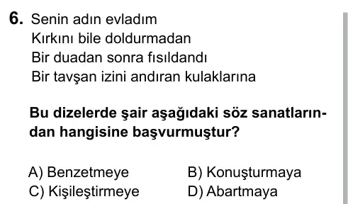 Hazırlık Sınıfı Türkçe 2017 İOKBS Bursluluk Sınavı 6. Soru görseli