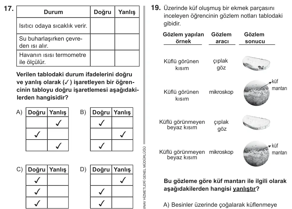 5. Sınıf Fen Bilimleri 2018 İOKBS Bursluluk Sınavı 17. Soru görseli
