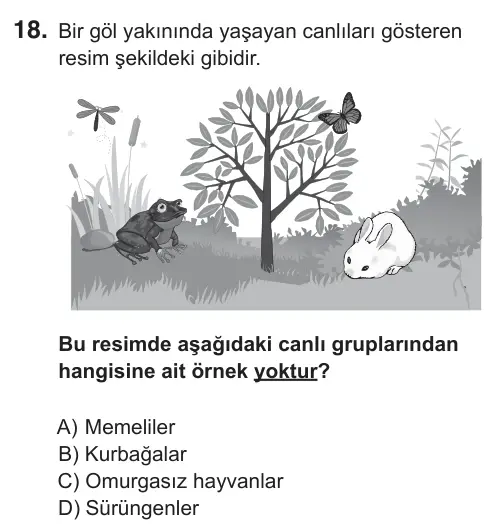 5. Sınıf Fen Bilimleri 2018 İOKBS Bursluluk Sınavı 18. Soru görseli