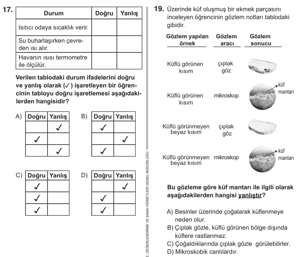 5. Sınıf Fen Bilimleri 2018 İOKBS Bursluluk Sınavı 19. Soru görseli