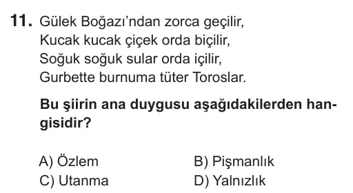5. Sınıf Türkçe 2018 İOKBS Bursluluk Sınavı 11. Soru görseli