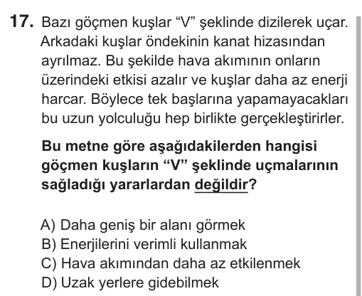 5. Sınıf Türkçe 2018 İOKBS Bursluluk Sınavı 17. Soru görseli