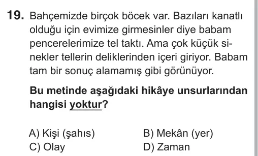5. Sınıf Türkçe 2018 İOKBS Bursluluk Sınavı 19. Soru görseli