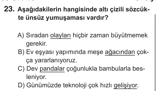 5. Sınıf Türkçe 2018 İOKBS Bursluluk Sınavı 23. Soru görseli
