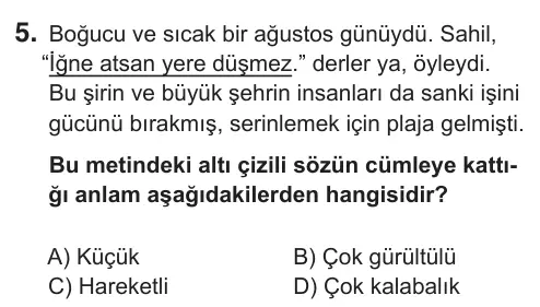 5. Sınıf Türkçe 2018 İOKBS Bursluluk Sınavı 5. Soru görseli
