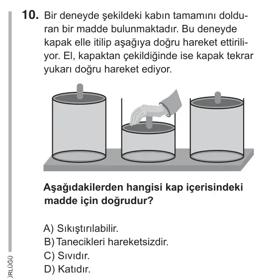 6. Sınıf Fen Bilimleri 2018 İOKBS Bursluluk Sınavı 10. Soru görseli