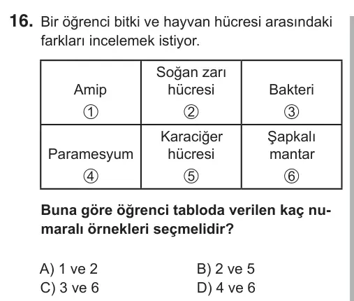 6. Sınıf Fen Bilimleri 2018 İOKBS Bursluluk Sınavı 16. Soru görseli