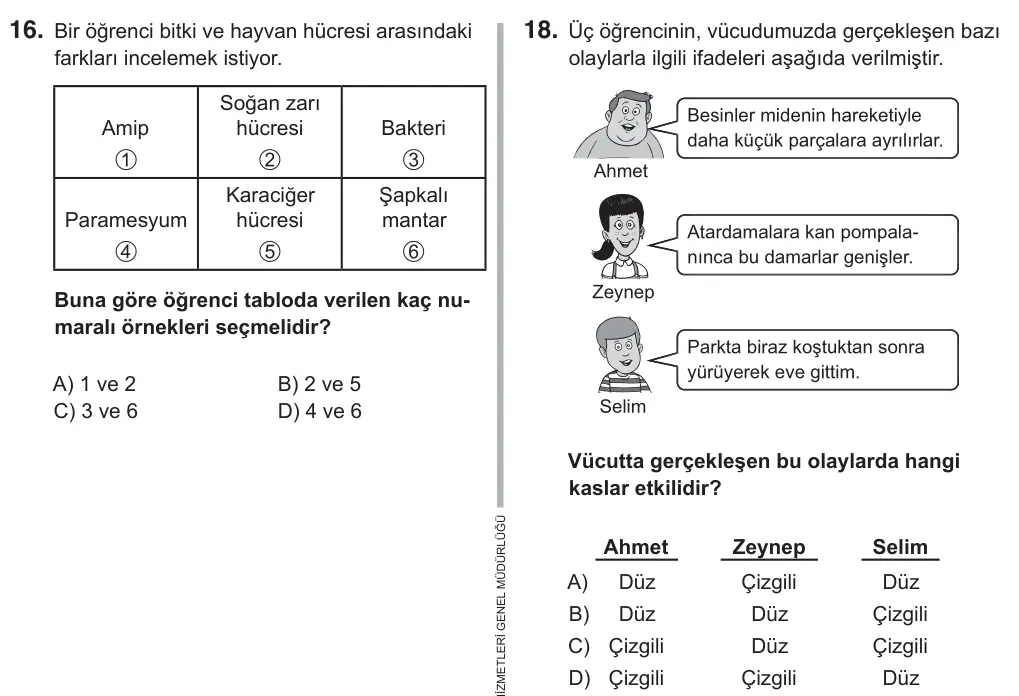 6. Sınıf Fen Bilimleri 2018 İOKBS Bursluluk Sınavı 18. Soru görseli