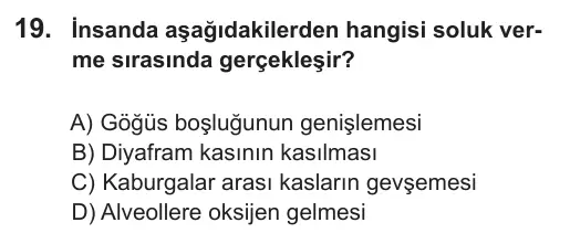 6. Sınıf Fen Bilimleri 2018 İOKBS Bursluluk Sınavı 19. Soru görseli