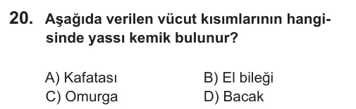 6. Sınıf Fen Bilimleri 2018 İOKBS Bursluluk Sınavı 20. Soru görseli
