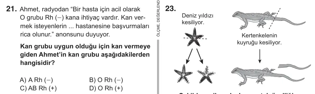 6. Sınıf Fen Bilimleri 2018 İOKBS Bursluluk Sınavı 21. Soru görseli