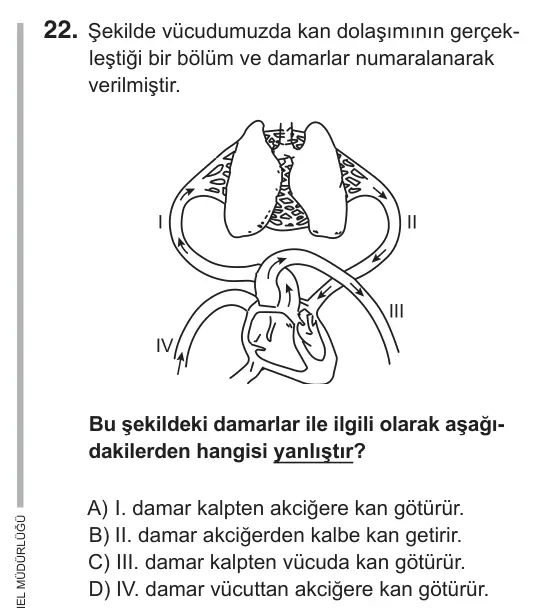 6. Sınıf Fen Bilimleri 2018 İOKBS Bursluluk Sınavı 22. Soru görseli