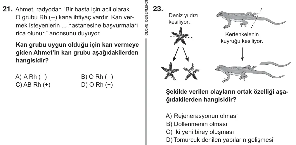 6. Sınıf Fen Bilimleri 2018 İOKBS Bursluluk Sınavı 23. Soru görseli