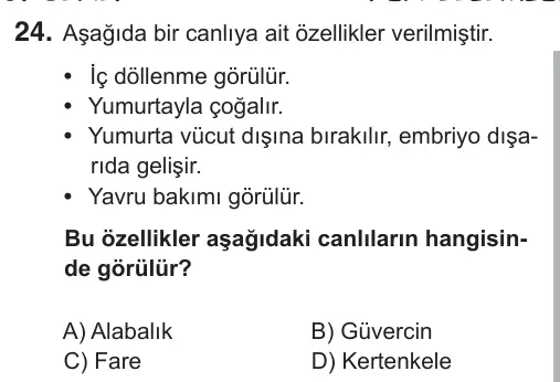 6. Sınıf Fen Bilimleri 2018 İOKBS Bursluluk Sınavı 24. Soru görseli