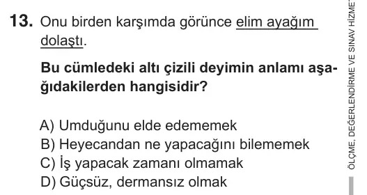 6. Sınıf Türkçe 2018 İOKBS Bursluluk Sınavı 13. Soru görseli