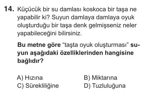 6. Sınıf Türkçe 2018 İOKBS Bursluluk Sınavı 14. Soru görseli