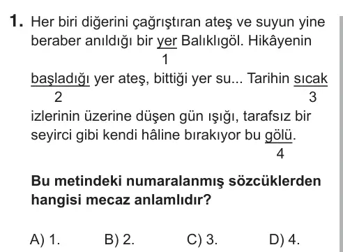 6. Sınıf Türkçe 2018 İOKBS Bursluluk Sınavı 1. Soru görseli