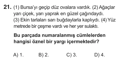 6. Sınıf Türkçe 2018 İOKBS Bursluluk Sınavı 21. Soru görseli
