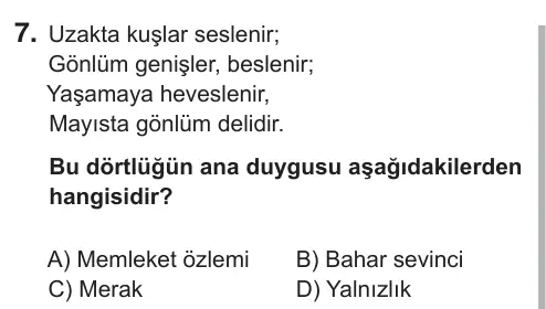 6. Sınıf Türkçe 2018 İOKBS Bursluluk Sınavı 7. Soru görseli
