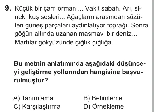 6. Sınıf Türkçe 2018 İOKBS Bursluluk Sınavı 9. Soru görseli