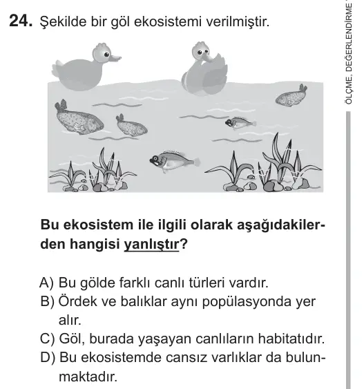 7. Sınıf Fen Bilimleri 2018 İOKBS Bursluluk Sınavı 24. Soru görseli