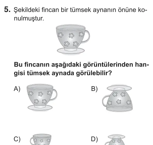 7. Sınıf Fen Bilimleri 2018 İOKBS Bursluluk Sınavı 5. Soru görseli